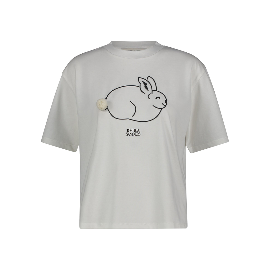 RABBIT CWHITE joshua's