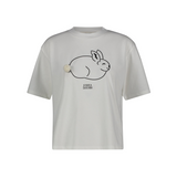 RABBIT CWHITE joshua's