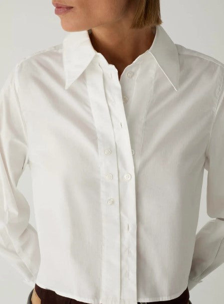 SHIRT EVANN 