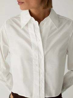 SHIRT EVANN 
