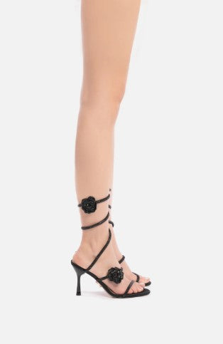 CORAL HEEL 